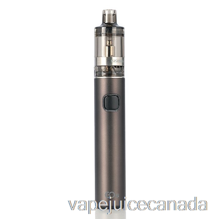 Vape Canada Innokin Go S 13W MTL Pen Starter Kit Gunmetal